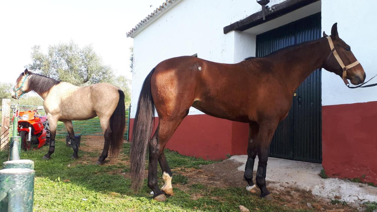 Finca la Carnicera Constantina Esterno foto